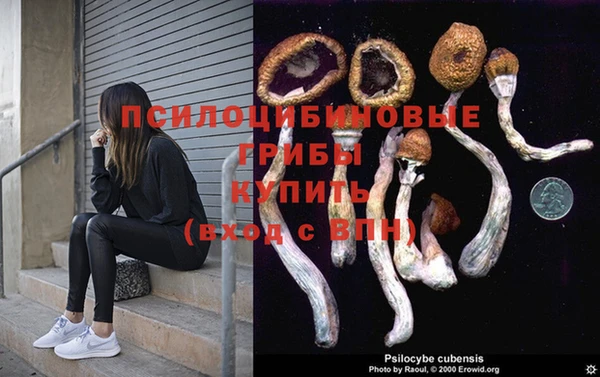 прущая мука Абинск