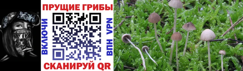 Галлюциногенные грибы мухоморы Алагир
